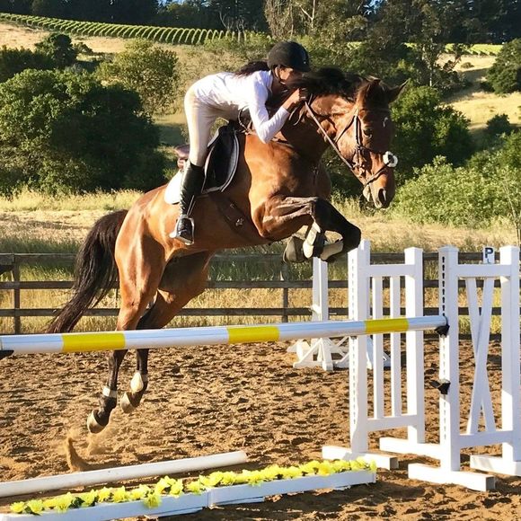 Meet your Posher, Rivka - Picture 1 of 1